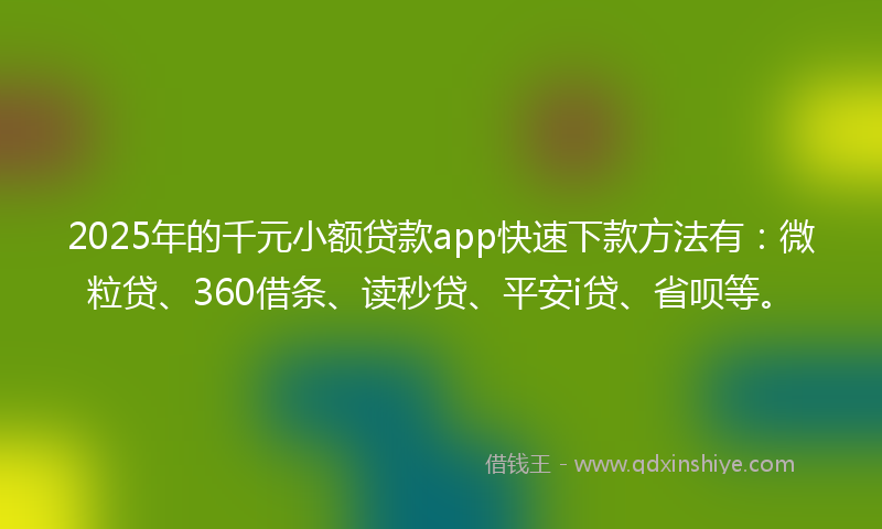 2025年的千元小额贷款app快速下款方法有：微粒贷、360借条、读秒贷、平安i贷、省呗等。