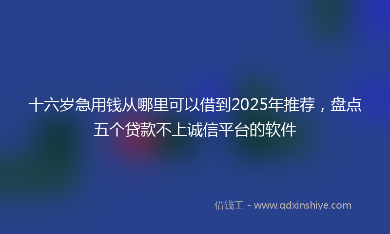 十六岁急用钱从哪里可以借到2025年推荐，盘点五个贷款不上诚信平台的软件