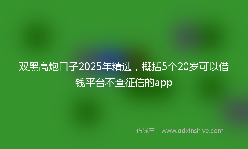 双黑高炮口子2025年精选，概括5个20岁可以借钱平台不查征信的app