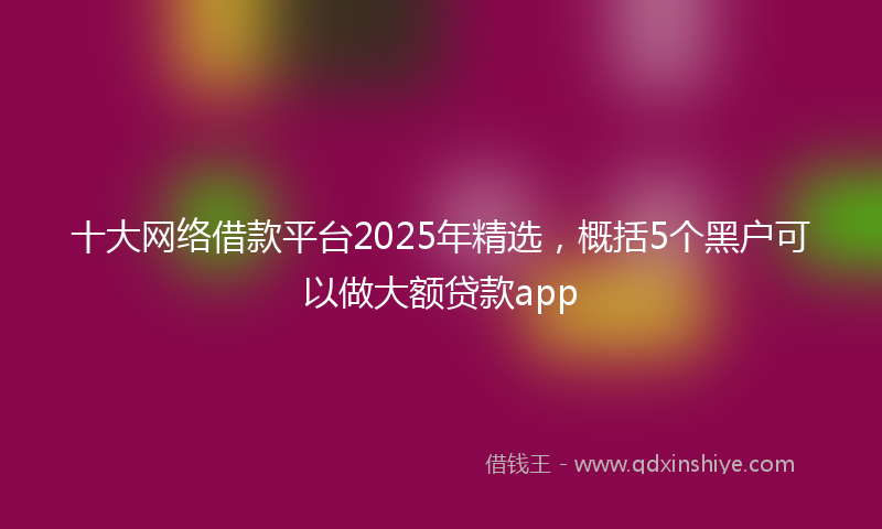 十大网络借款平台2025年精选，概括5个黑户可以做大额贷款app