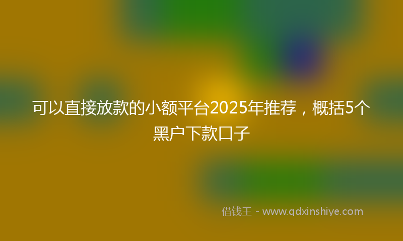 可以直接放款的小额平台2025年推荐，概括5个黑户下款口子