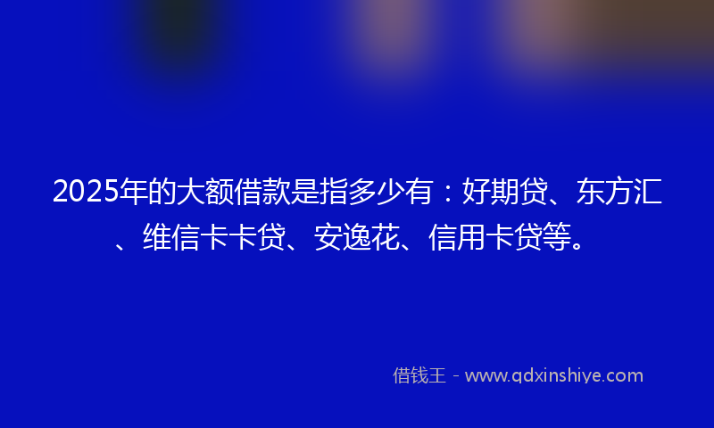 2025年的大额借款是指多少有：好期贷、东方汇、维信卡卡贷、安逸花、信用卡贷等。