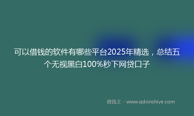 可以借钱的软件有哪些平台2025年精选，总结五个无视黑白100%秒下网贷口子