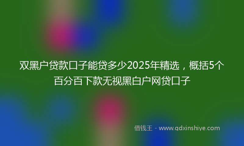 双黑户贷款口子能贷多少2025年精选，概括5个百分百下款无视黑白户网贷口子