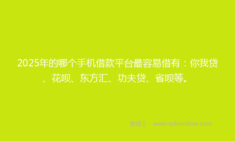 2025年的哪个手机借款平台最容易借有：你我贷、花呗、东方汇、功夫贷、省呗等。