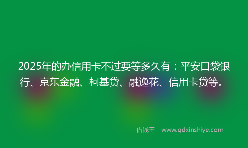2025年的办信用卡不过要等多久有：平安口袋银行、京东金融、柯基贷、融逸花、信用卡贷等。