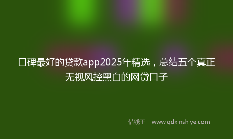 口碑最好的贷款app2025年精选，总结五个真正无视风控黑白的网贷口子