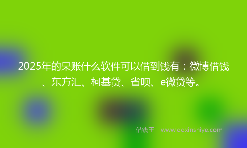 2025年的呆账什么软件可以借到钱有：微博借钱、东方汇、柯基贷、省呗、e微贷等。