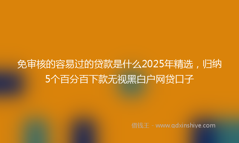 免审核的容易过的贷款是什么2025年精选，归纳5个百分百下款无视黑白户网贷口子