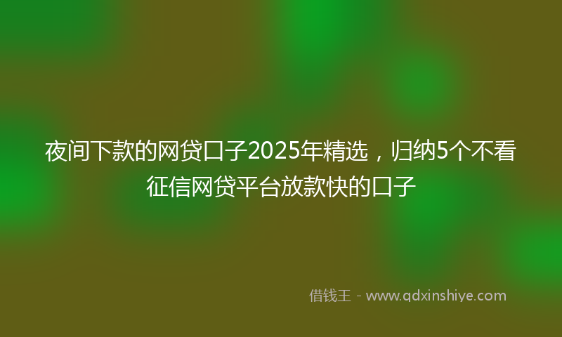 夜间下款的网贷口子2025年精选，归纳5个不看征信网贷平台放款快的口子