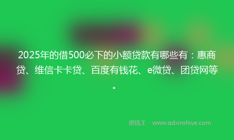2025年的借500必下的小额贷款有哪些有：惠商贷、维信卡卡贷、百度有钱花、e微贷、团贷网等。