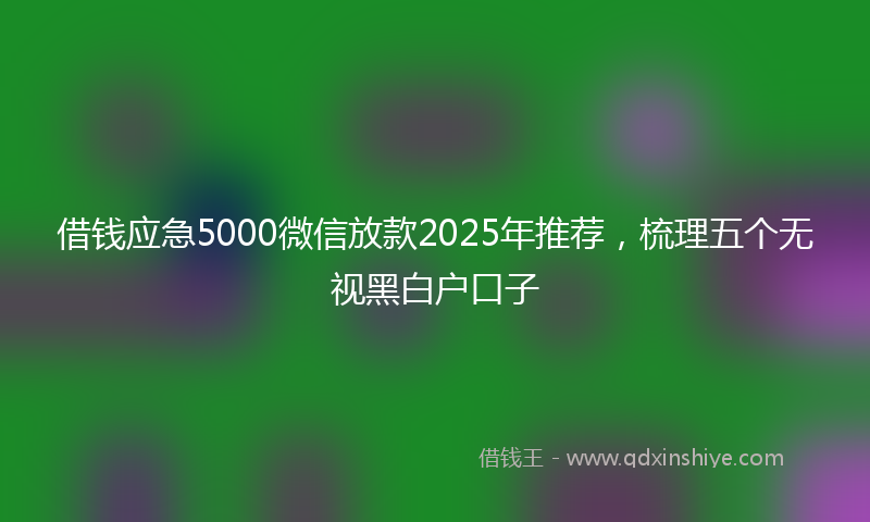 借钱应急5000微信放款2025年推荐，梳理五个无视黑白户口子