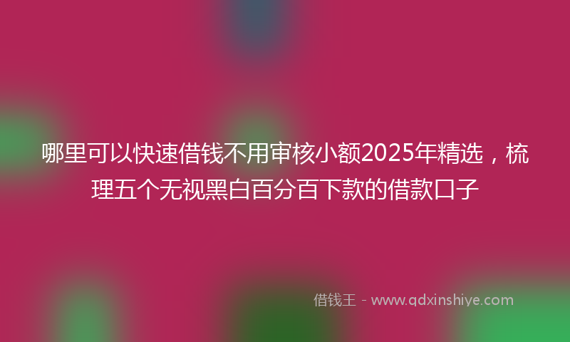 哪里可以快速借钱不用审核小额2025年精选，梳理五个无视黑白百分百下款的借款口子