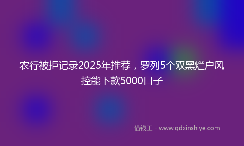 农行被拒记录2025年推荐，罗列5个双黑烂户风控能下款5000口子