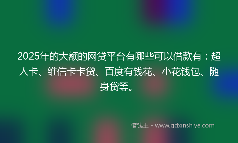 2025年的大额的网贷平台有哪些可以借款有：超人卡、维信卡卡贷、百度有钱花、小花钱包、随身贷等。