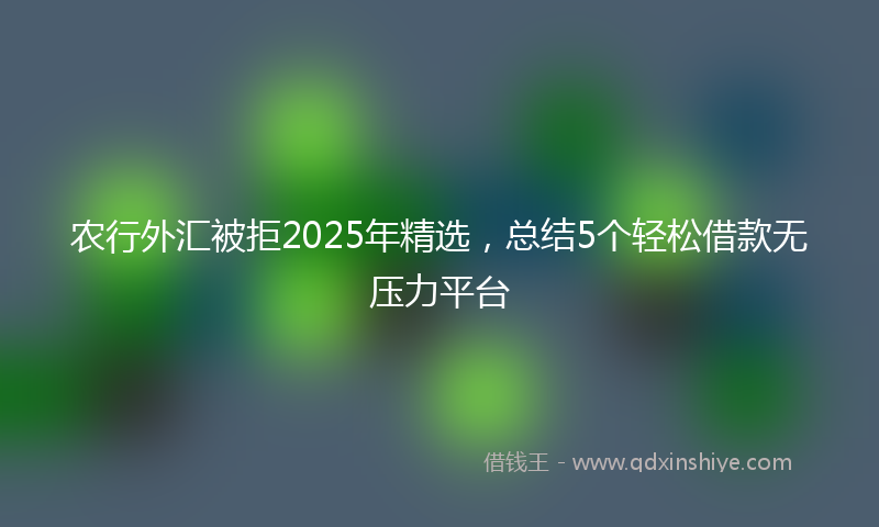 农行外汇被拒2025年精选，总结5个轻松借款无压力平台