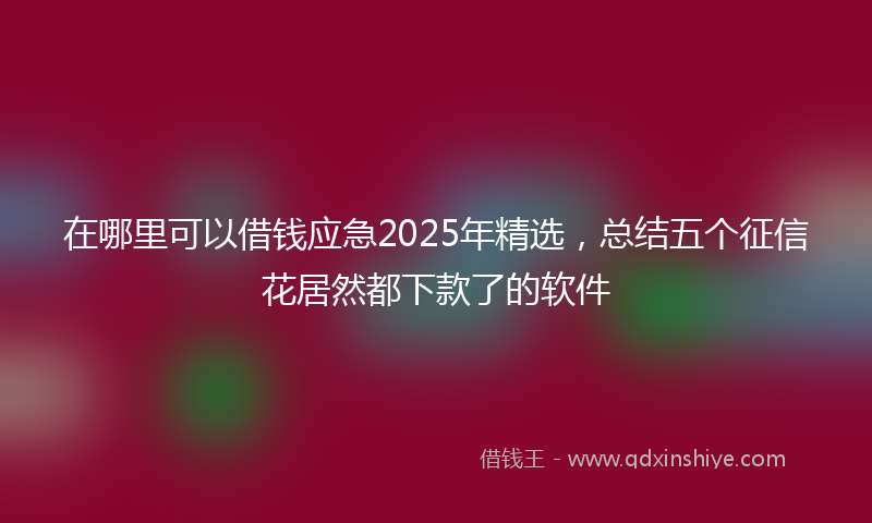 在哪里可以借钱应急2025年精选，总结五个征信花居然都下款了的软件