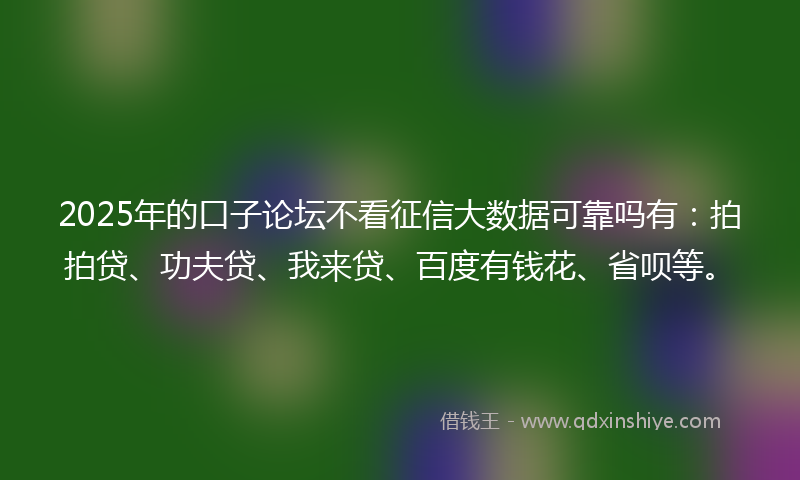 2025年的口子论坛不看征信大数据可靠吗有：拍拍贷、功夫贷、我来贷、百度有钱花、省呗等。