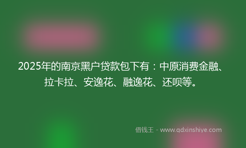 2025年的南京黑户贷款包下有：中原消费金融、拉卡拉、安逸花、融逸花、还呗等。