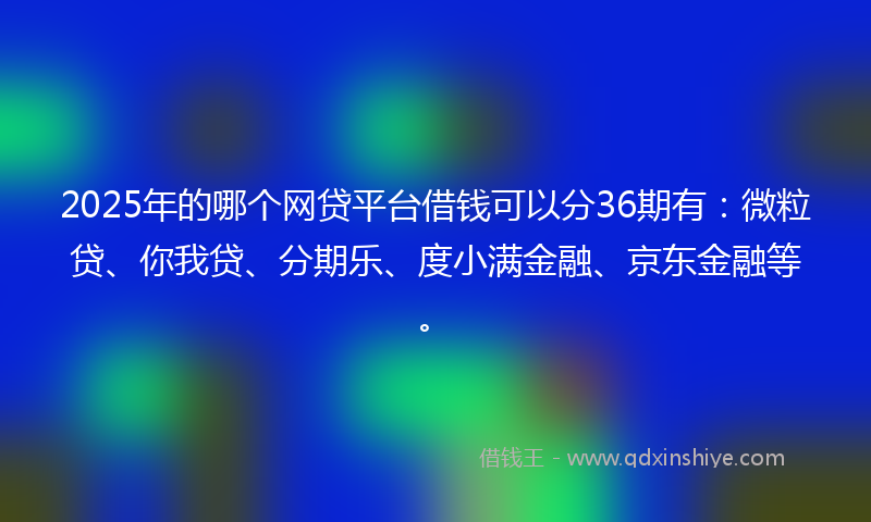 2025年的哪个网贷平台借钱可以分36期有：微粒贷、你我贷、分期乐、度小满金融、京东金融等。