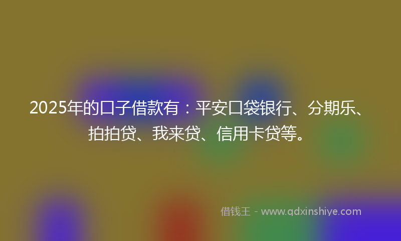 2025年的口子借款有：平安口袋银行、分期乐、拍拍贷、我来贷、信用卡贷等。
