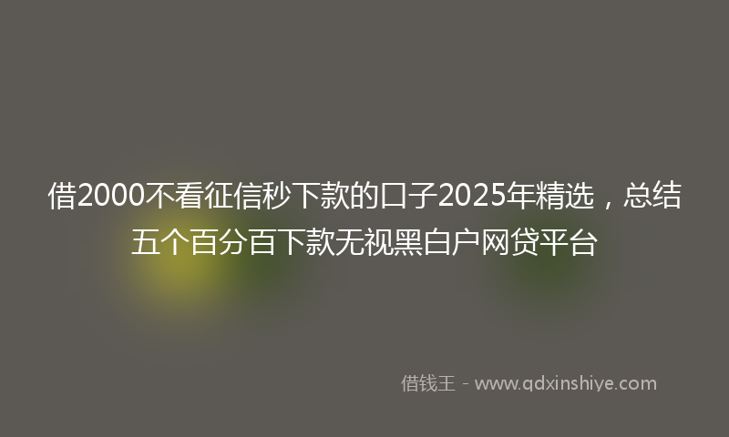 借2000不看征信秒下款的口子2025年精选，总结五个百分百下款无视黑白户网贷平台