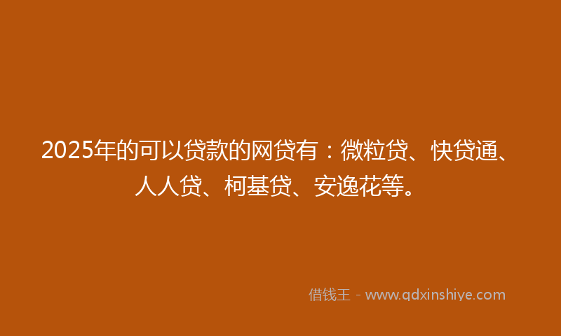 2025年的可以贷款的网贷有：微粒贷、快贷通、人人贷、柯基贷、安逸花等。