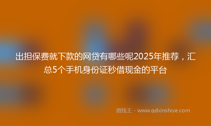 出担保费就下款的网贷有哪些呢2025年推荐，汇总5个手机身份证秒借现金的平台