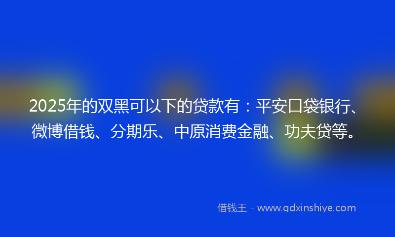 2025年的双黑可以下的贷款有：平安口袋银行、微博借钱、分期乐、中原消费金融、功夫贷等。