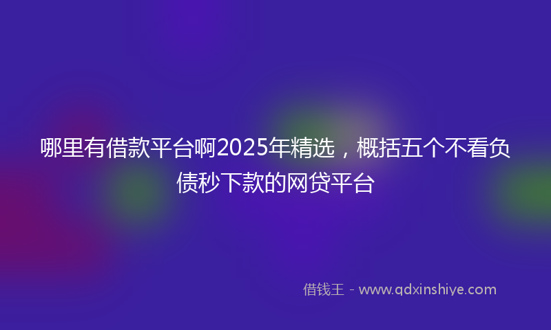 哪里有借款平台啊2025年精选，概括五个不看负债秒下款的网贷平台