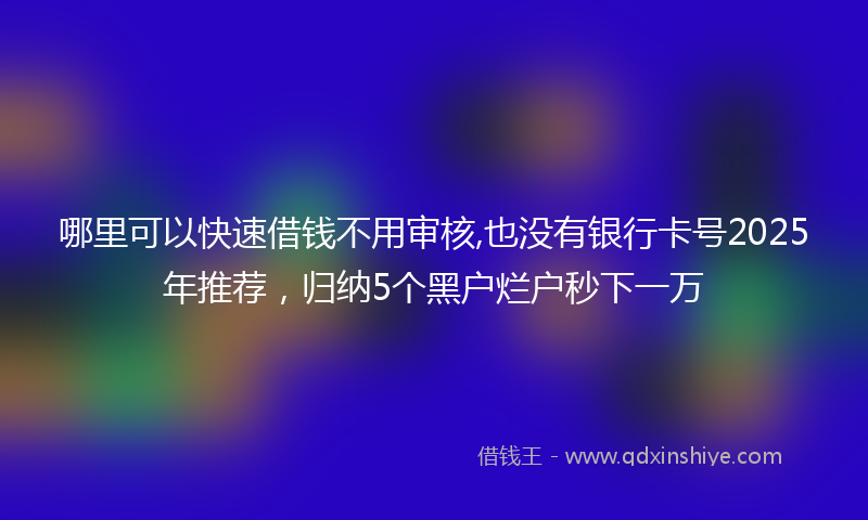 哪里可以快速借钱不用审核,也没有银行卡号2025年推荐，归纳5个黑户烂户秒下一万