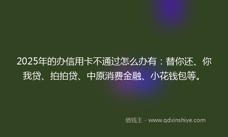 2025年的办信用卡不通过怎么办有：替你还、你我贷、拍拍贷、中原消费金融、小花钱包等。