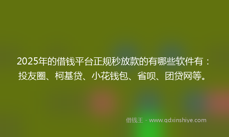 2025年的借钱平台正规秒放款的有哪些软件有：投友圈、柯基贷、小花钱包、省呗、团贷网等。
