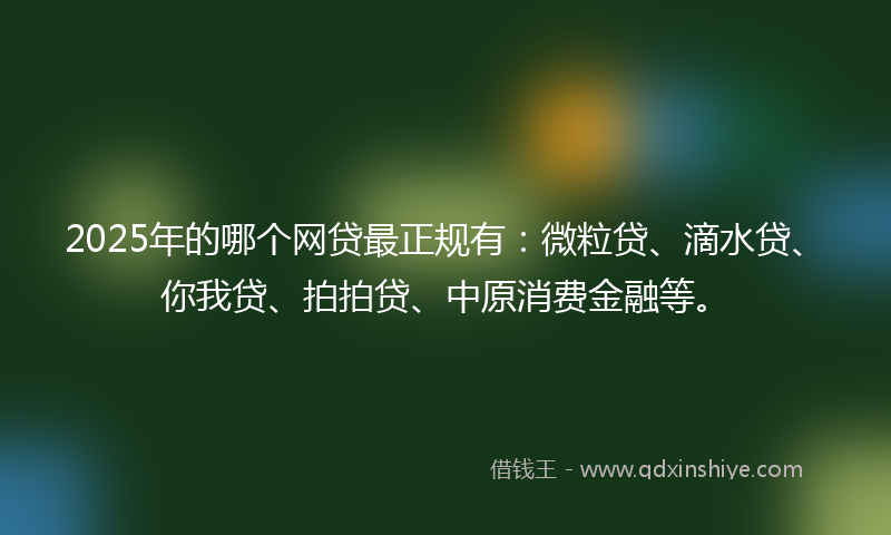 2025年的哪个网贷最正规有：微粒贷、滴水贷、你我贷、拍拍贷、中原消费金融等。