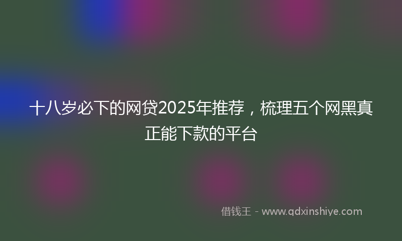 十八岁必下的网贷2025年推荐，梳理五个网黑真正能下款的平台