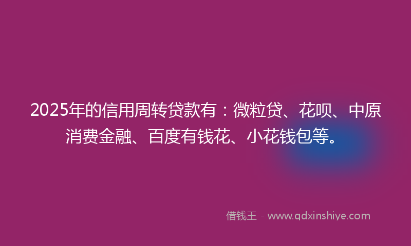 2025年的信用周转贷款有：微粒贷、花呗、中原消费金融、百度有钱花、小花钱包等。