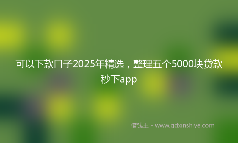 可以下款口子2025年精选，整理五个5000块贷款秒下app