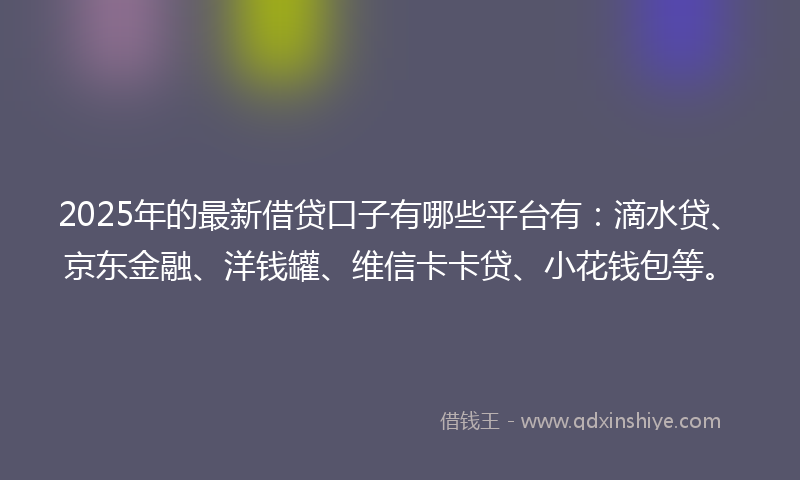 2025年的最新借贷口子有哪些平台有：滴水贷、京东金融、洋钱罐、维信卡卡贷、小花钱包等。