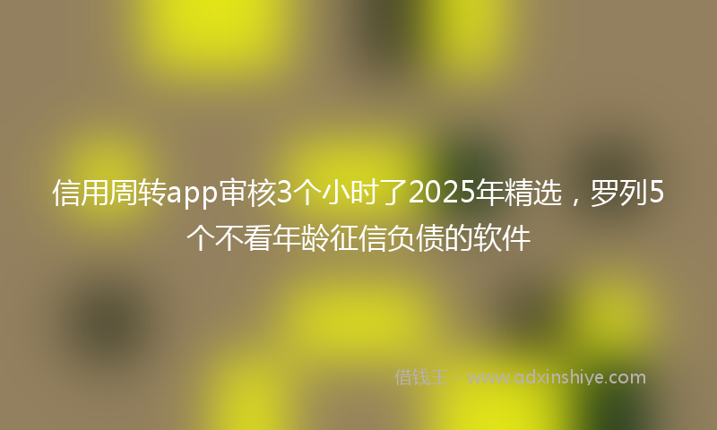 信用周转app审核3个小时了2025年精选，罗列5个不看年龄征信负债的软件