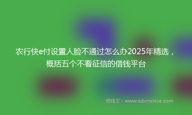 农行快e付设置人脸不通过怎么办2025年精选，概括五个不看征信的借钱平台