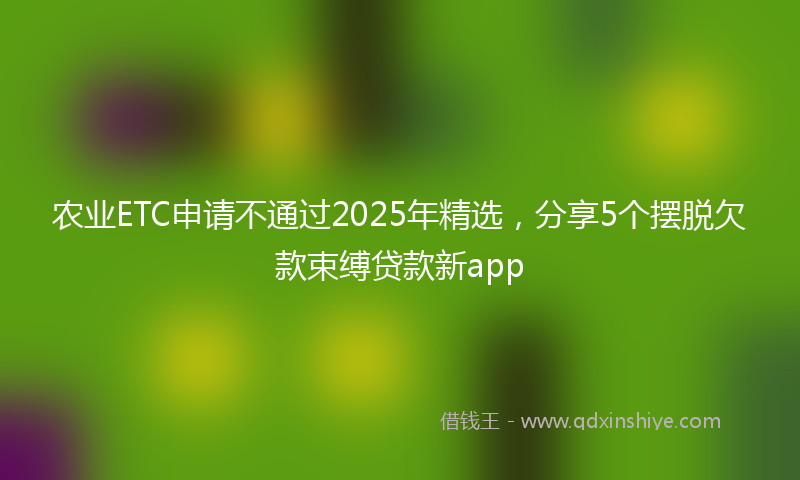 农业ETC申请不通过2025年精选，分享5个摆脱欠款束缚贷款新app