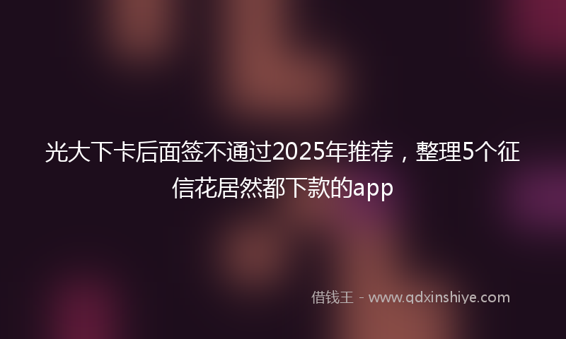 光大下卡后面签不通过2025年推荐，整理5个征信花居然都下款的app