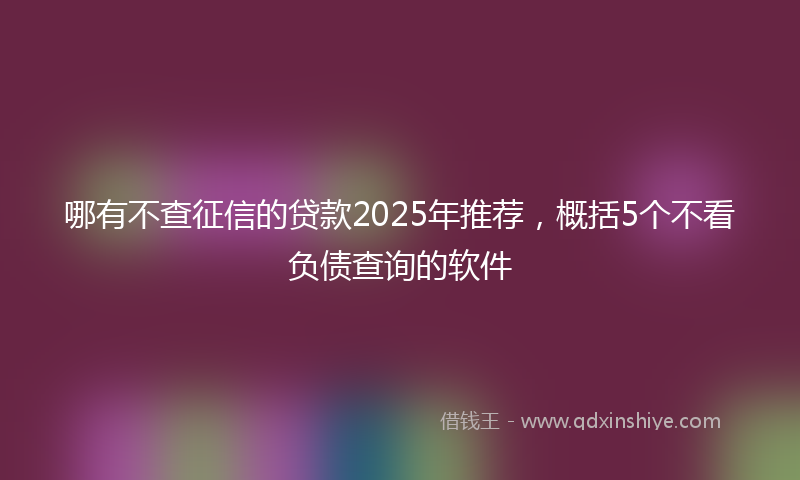 哪有不查征信的贷款2025年推荐，概括5个不看负债查询的软件