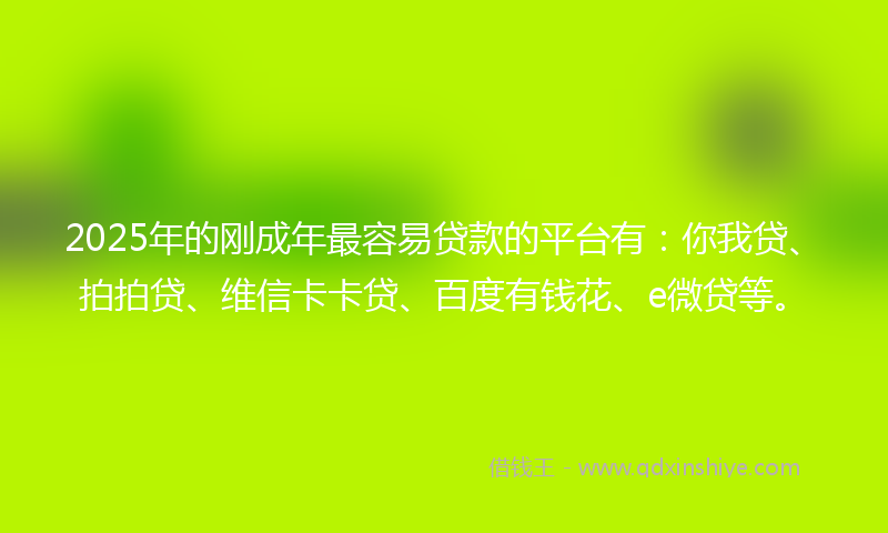 2025年的刚成年最容易贷款的平台有：你我贷、拍拍贷、维信卡卡贷、百度有钱花、e微贷等。
