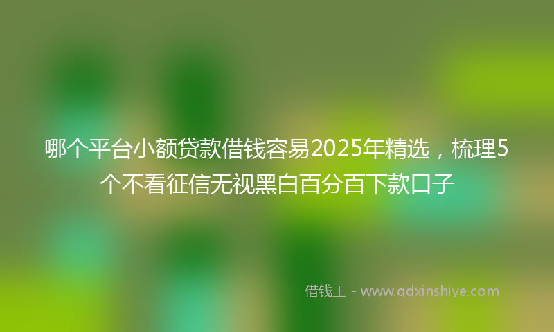 哪个平台小额贷款借钱容易2025年精选，梳理5个不看征信无视黑白百分百下款口子