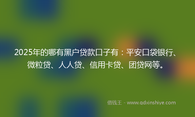 2025年的哪有黑户贷款口子有：平安口袋银行、微粒贷、人人贷、信用卡贷、团贷网等。