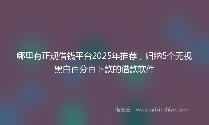哪里有正规借钱平台2025年推荐，归纳5个无视黑白百分百下款的借款软件