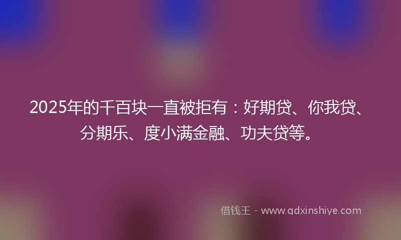 2025年的千百块一直被拒有：好期贷、你我贷、分期乐、度小满金融、功夫贷等。