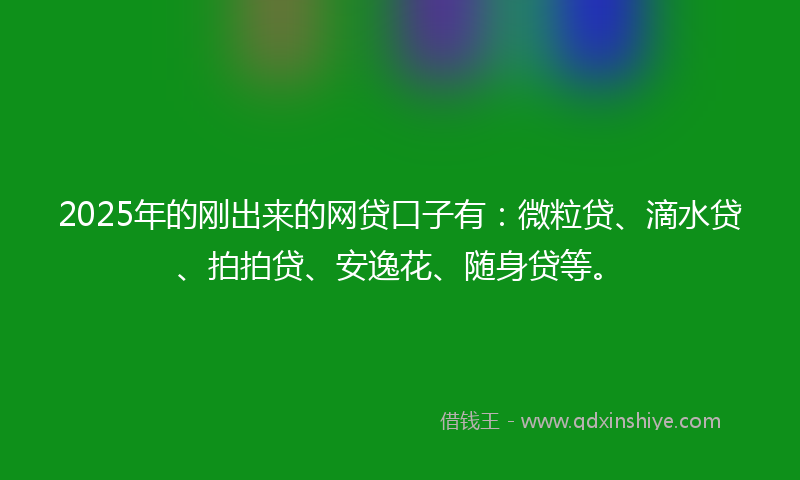 2025年的刚出来的网贷口子有：微粒贷、滴水贷、拍拍贷、安逸花、随身贷等。