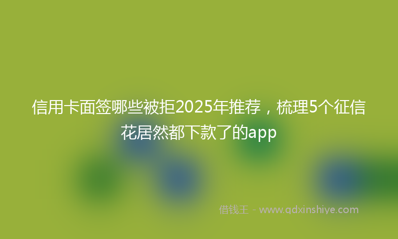 信用卡面签哪些被拒2025年推荐，梳理5个征信花居然都下款了的app